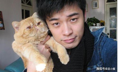 吃瓜娱乐赵小瞒小猫